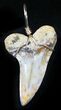 Fossil Mako Tooth Pendant - Bakersfield, CA #26106-1